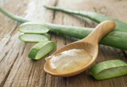 Detoxifierea cu ajutorul aloe vera