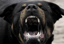 O femeie nu a putut intra în curtea locuinței din cauza unui câine agresiv. Stăpânul a fost amendat de jandarmi