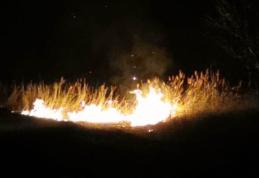 Incendiu de vegetație la marginea municipiului Dorohoi. 13 hectare distruse de flăcări - FOTO