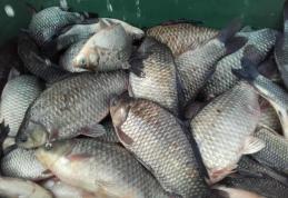 Braconieri prinşi de poliţiști! Peste 25 de kilograme de pește viu eliberat în mediul natural
