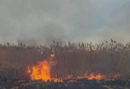 Noapte grea pentru pompierii botoșăneni: au intervenit pentru stingerea a două incendii de vegetație uscată