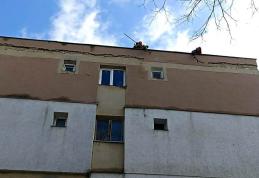 Pompierii botoșăneni continuă să intervină pentru înlăturarea efectelor produse de vântul puternic - FOTO