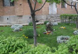 Cei care plantează flori sau copaci pe spațiile verzi din jurul blocurilor riscă amenzi! Ce autorizație trebuie să ceară