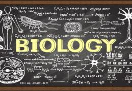 Două eleve din Dorohoi vor reprezenta județul Botoșani la etapa națională a olimpiadei de biologie