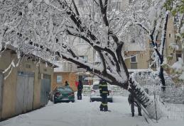 Pompierii botoșăneni continuă să intervină pentru înlăturarea efectelor produse de căderile masive de zăpadă și viscol - FOTO