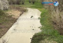 Hidrologii au prelungit Codul Galben de inundații pe râul Jijia și afluenții acestuia