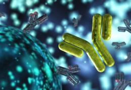 O nouă superbacterie pune în alertă lumea întreagă
