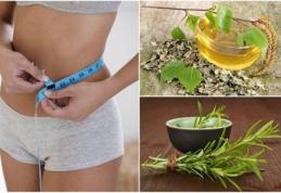 Planta de mare ajutor în curele de slăbire