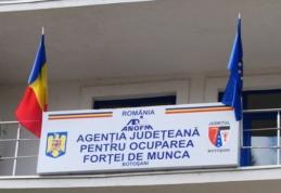 Peste o mie de persoane angajate prin intermediul AJOFM BOTOȘANI la sfârșitul lunii martie