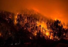 Pentru toți cei care vor petrece ziua de 1 Mai în natură: Protejați pădurea!