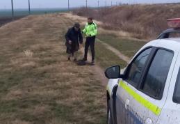 Bărbat rătăcit pe câmp, găsit de polițiștii din Dorohoi 