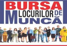 AJOFM Botoșani organizează o nouă ediție a „Bursei generale a locurilor de muncă”