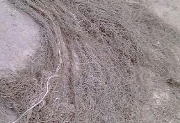 Un kilometru și jumătate de plasă tip monofilament confiscată de polițiști