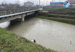 COD GALBEN! Hidrologii anunță risc de inundații pe râul Jijia și afluenții acestuia