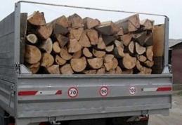 2 metri cubi de material lemnos confiscat și amendă de 2000 lei aplicată unui bărbat