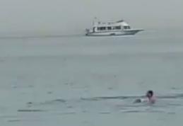 Final tragic pentru un tânăr de 24 de ani! Un rechin l-a atacat și l-a sfâșiat în Hurghada, Egipt - VIDEO