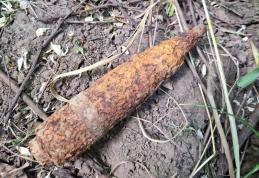 Proiectil exploziv trasor descoperit de un șofer în trunchiul unui copac rupt pe drumul Botoșani-Săveni - FOTO