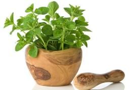 Mirodeniile care aduc o serie de beneficii organismului