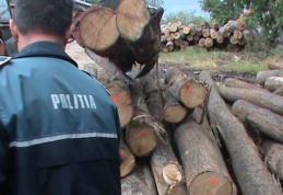Oprit de polițiștii din Dorohoi pentru un control. Un metru cub de lemn a fost confiscat