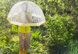 Săptămâna viitoare va ploua aproape în fiecare zi! Prognoza meteo 23 - 29 iunie 2023