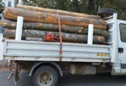 Material lemnos confiscat la nivelul județului Botoșani, în cadrul acțiunii „Scutul Pădurii”