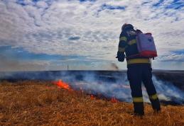 Campanie de recoltare a cerealelor, fără incendii