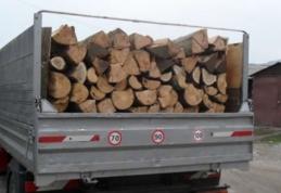 3,5 metri cubi de material lemnos confiscat la Răchiți