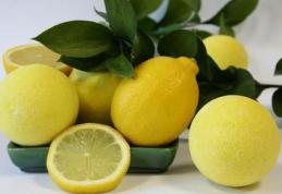 Lămâia te ajută să înlături oboseala