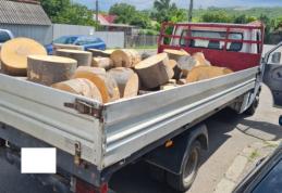 Material lemnos confiscat la Ștefănești