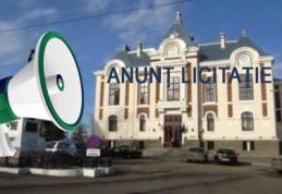 Primăria Dorohoi: Anunţ de participare la licitaţie pentru închirieri spații/terenuri (domeniul public)