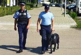 Programul „În siguranţă la volan – stop accidentelor rutiere” -  Programul ajuns la a 8-a serie de persoane susţinute pentru reintegrare socială