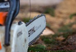 Bărbat trimis în judecată după ce a vrut să-și taie nevasta cu o drujbă