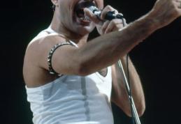 Pianul și alte obiecte care au aparținut regretatului Freddie Mercury scoase la licitație