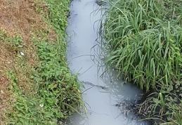 Primim la redacție – Poluare pe râul Jijia! Apa și-a schimbat culoarea și are un miros neplăcut - FOTO