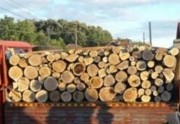Material lemnos confiscat, în cadrul unei acțiuni a polițiștilor din Ștefănești