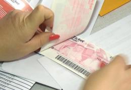 Tichetul de activităţi casnice. Zeci de mii de români îl vor putea primi. Care sunt condiţiile, ce valoare are şi de când se va acorda