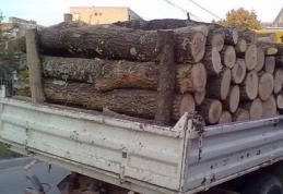 Lemne fără documente legale confiscate la Șendriceni