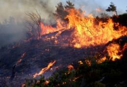 79 de persoane au fost arestate în Grecia pentru că ar fi declanșat intenționat incendiile