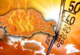 COD PORTCOALIU de caniculă în județul Botoșani