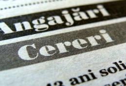 AJOFM Botoșani a publicat lista locurilor de muncă vacante. Aproape 600 de joburi sunt disponibile