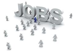 Peste 2400 de persoane angajate prin AJOFM Botoșani în primele șape luni ale anului