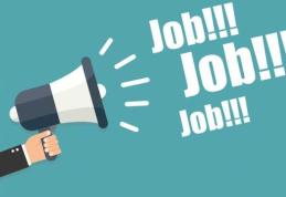 DAS Dorohoi organizează concurs pentru ocuparea unei funcții de referent/administrator clădiri