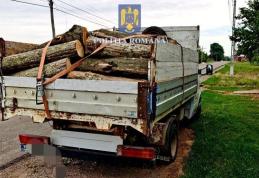 Material lemnos confiscat la Șendriceni