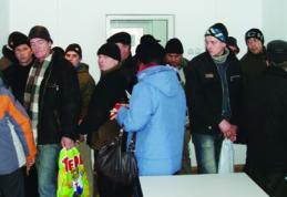 AJOFM: Mii de şomeri botoşăneni în căutarea unui loc de muncă la sfîrşitul anului