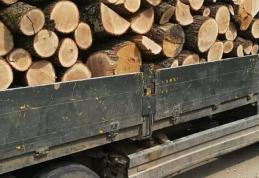 Un bărbat din Ștefănești s-a ales cu amendă și cu materialul lemnos confiscat