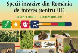 Muzeul de Științele Naturii Dorohoi gazda expoziției „Specii invazive din România de interes pentru Uniunea Europeană”