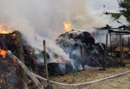 Adăpost de animale și depozit de furaje cuprinse de flăcări. Pompierii botoșăneni au intervenit - FOTO