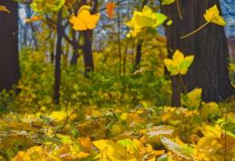 Prognoza meteo ANM. Vreme extremă în weekend. Unde vor fi minus 2 grade