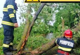 Populația din municipiul Dorohoi avertizată prin sistemul Ro-Alert: Cod portocaliu de vânt 