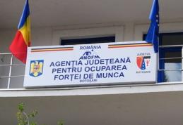 AJOFM Botoșani: Informare privind selecția grupului țintă din cadrul proiectului ICOPROF-BT-R